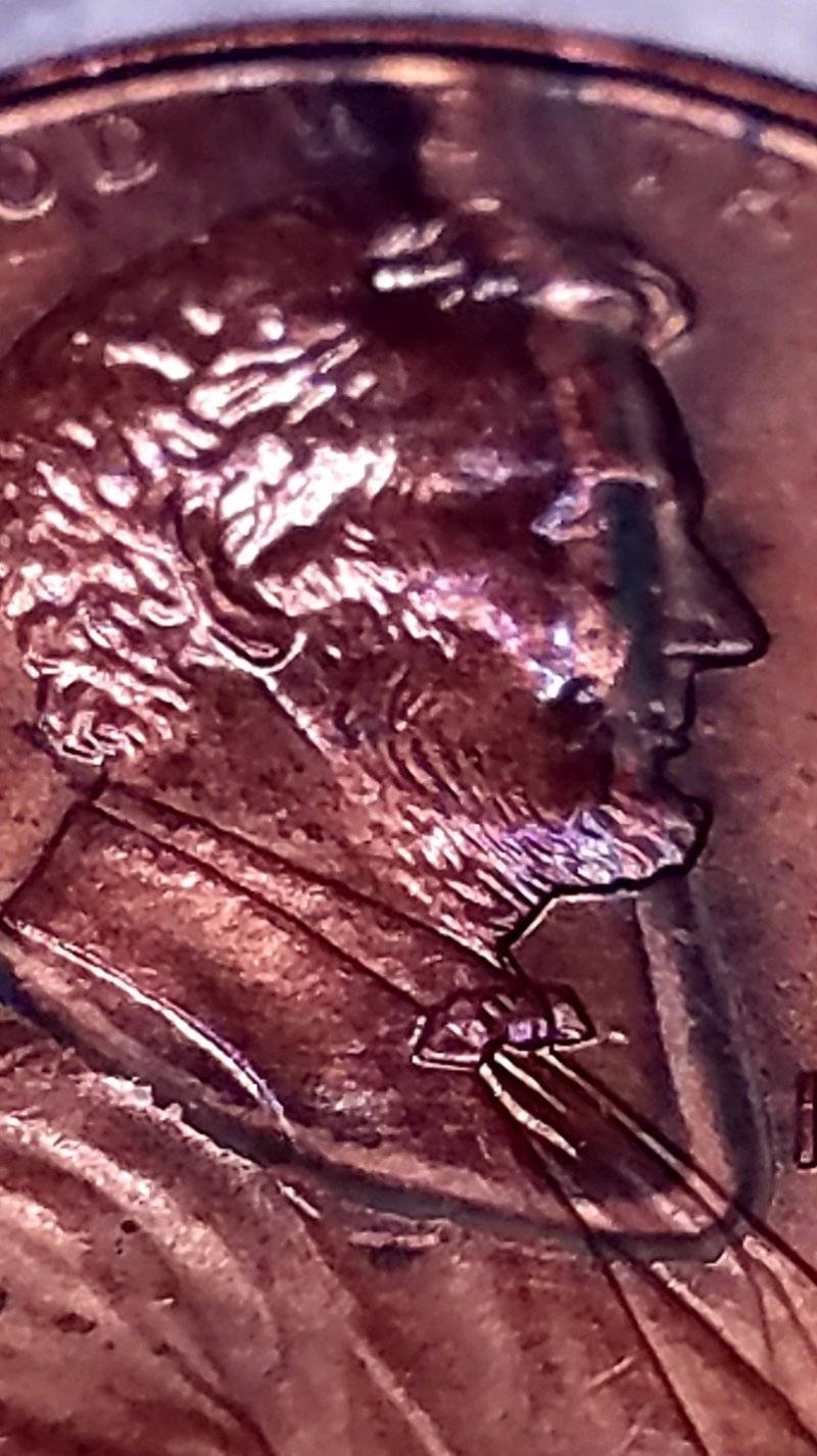 1993-P-Lincoln-Cent-Struck-Through-Metal-Half-Disc-Or-Metal-Clip?